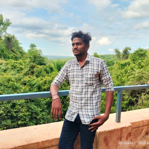 Siddardha  P.