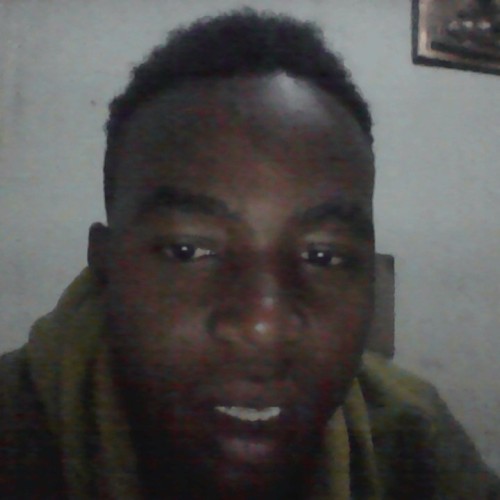 dennis n. profile photo