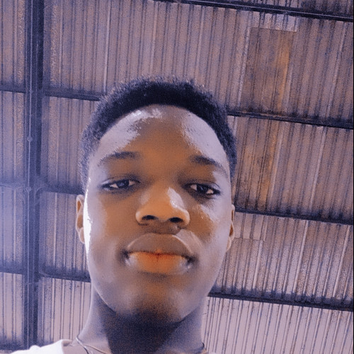 Emmanuel  O. profile photo