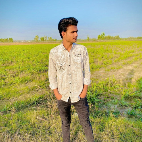 Shoaib  M. profile photo