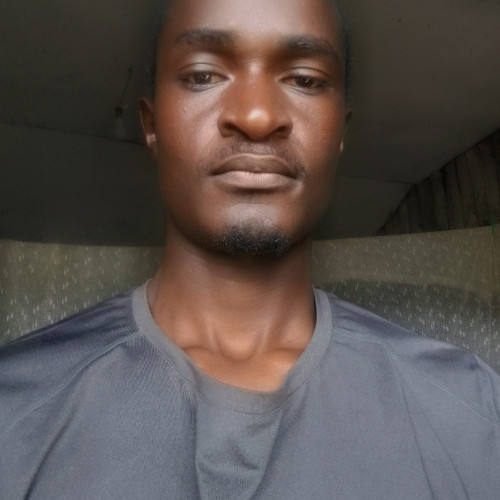 Peter P. profile photo