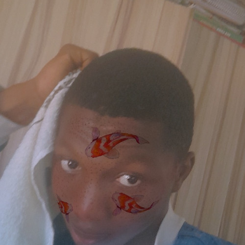 Ademola O. profile photo