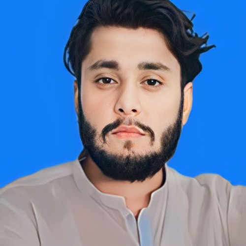 Muhammad Usman A.