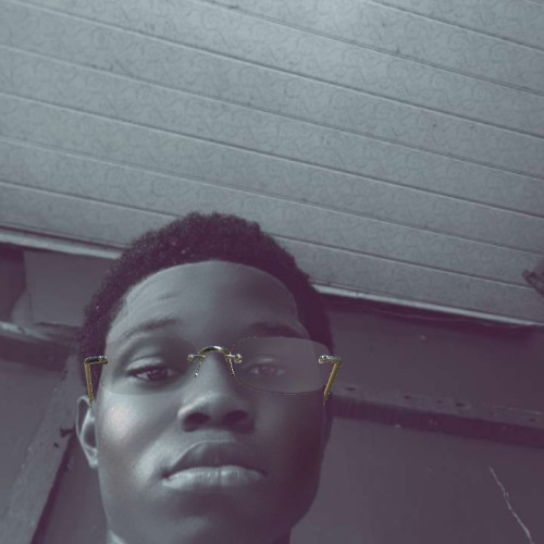 Wilson D. profile photo