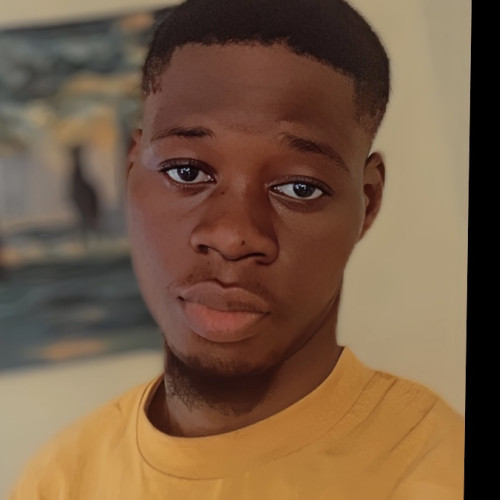 Oluyemi O. profile photo