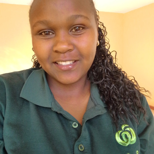 Mauryn N. profile photo