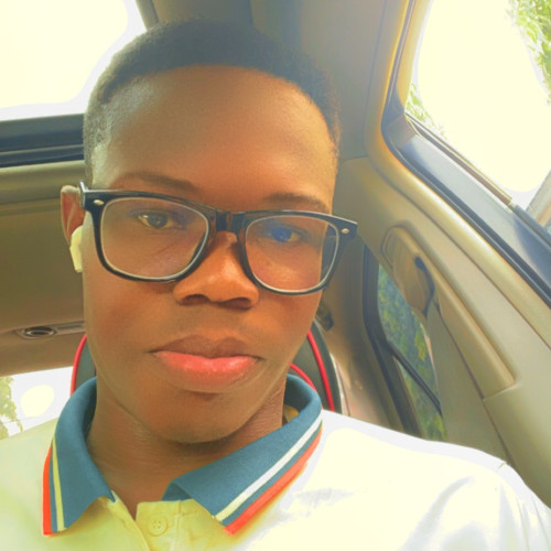 Chiemerie E. profile photo