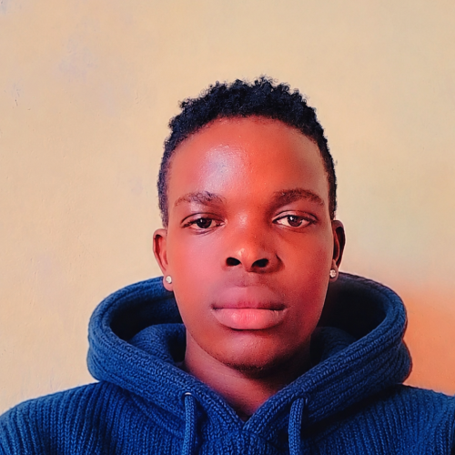 Romey K. profile photo