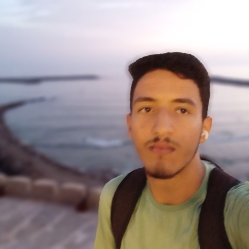 Nasser eddine  A. profile photo