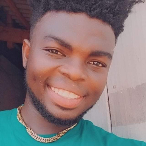 Amedu  S. profile photo