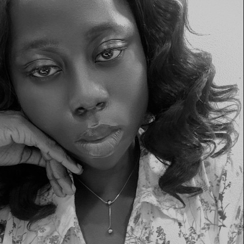Akinrinlola O. profile photo