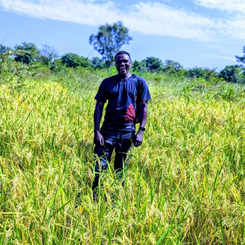 Henoch S. profile photo