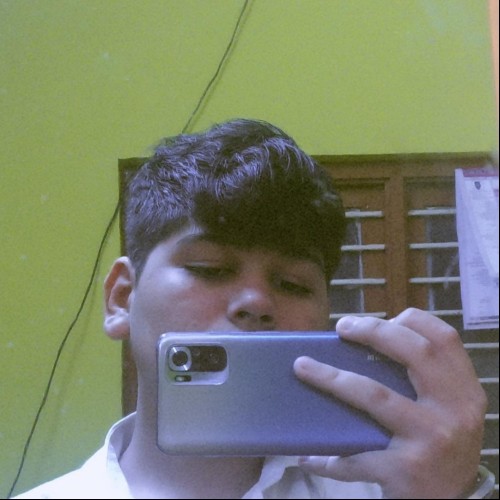 Ankur P.