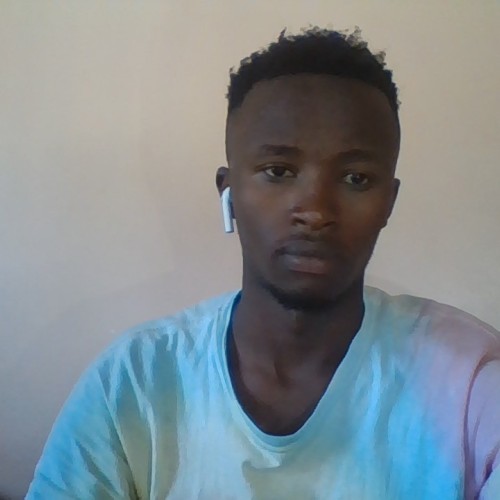 peter d. profile photo