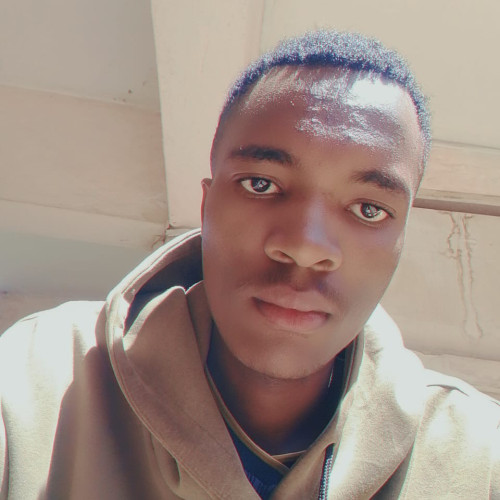 Moses K. profile photo