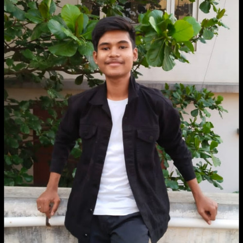 Vishnu V. profile photo