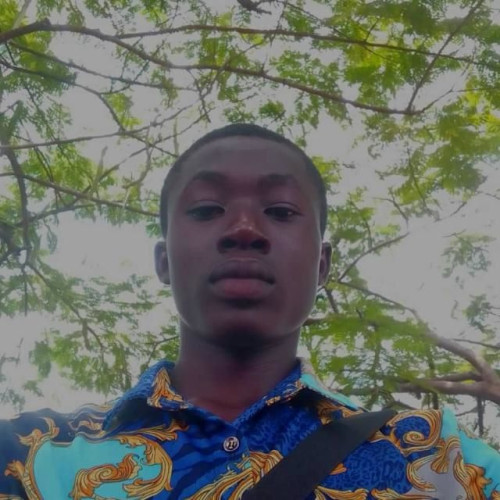 Nwosu O. profile photo