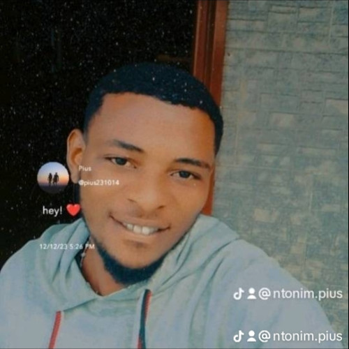 Untonim P. profile photo