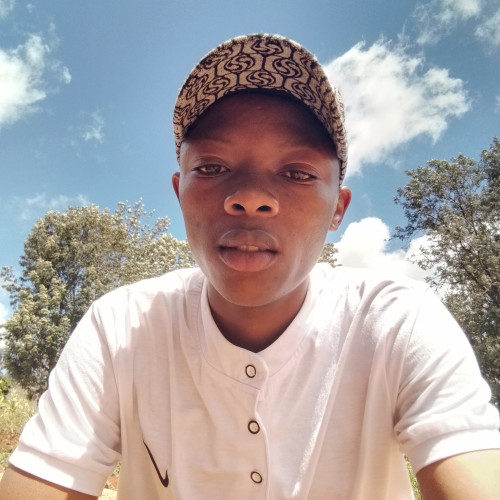 morris k. profile photo