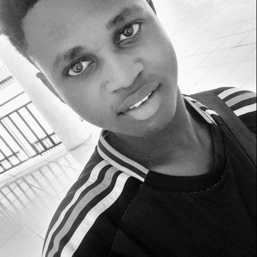 Steven E. profile photo