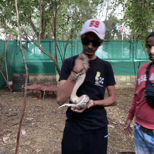 Kirtan P. profile photo