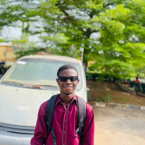 Ayeni  O. profile photo