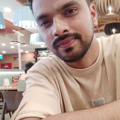 Aditya T.