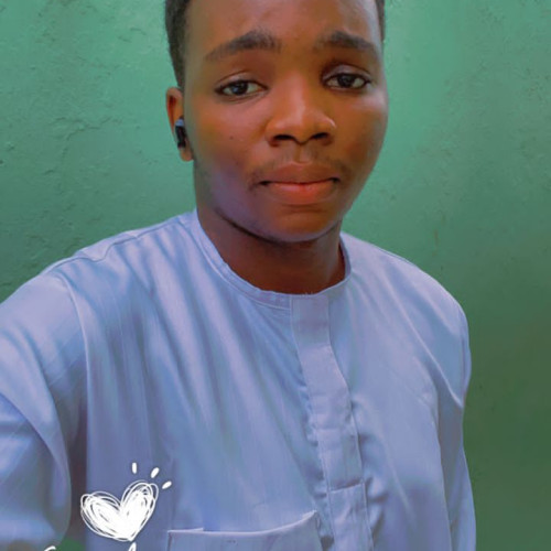 Nifemi O. profile photo