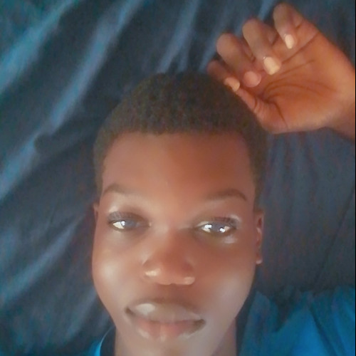 Curtis N. profile photo