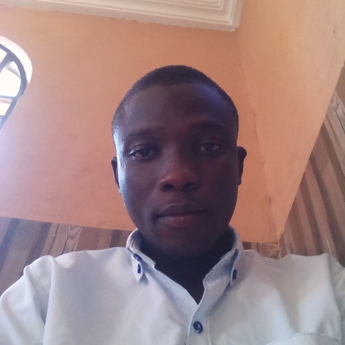 Ameedu A. profile photo