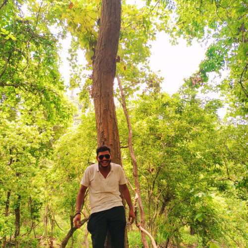 Mohit K.