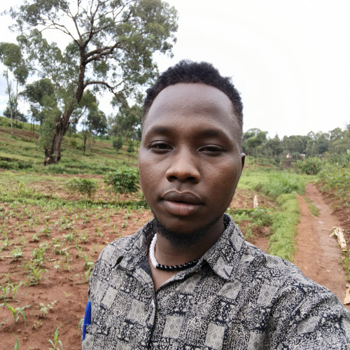 Kibet  C. profile photo