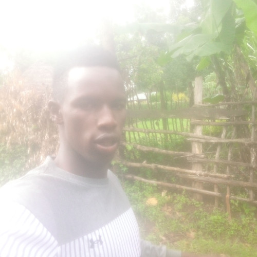 Ishmael  M. profile photo