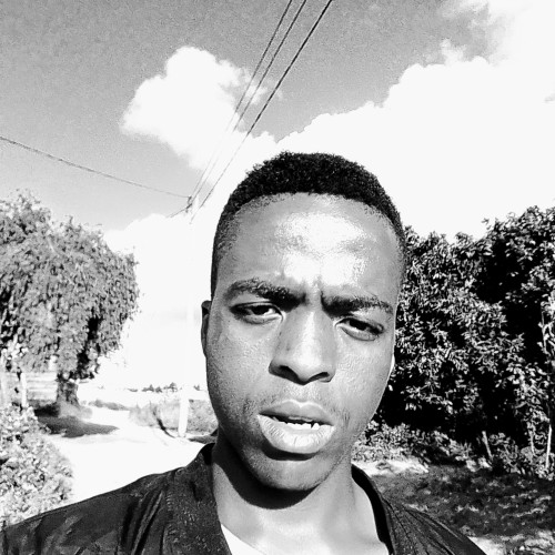 Feston  E.