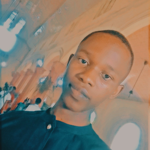 Saviour  E. profile photo