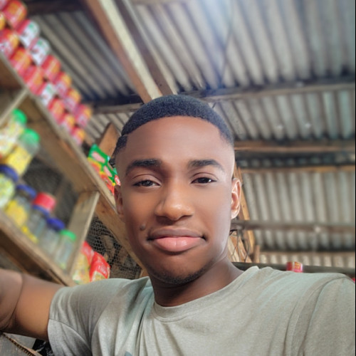 Vincent E. profile photo