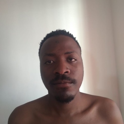 David A. profile photo