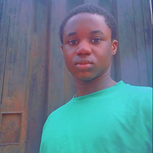 Wisdom  O. profile photo