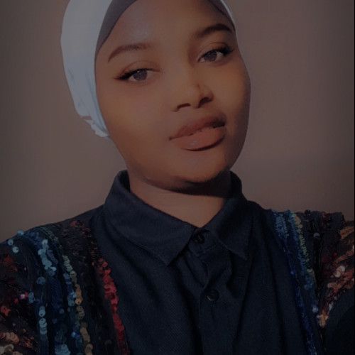 Abdulyekeen  S. profile photo