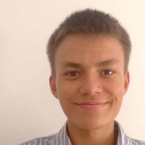 Artem S.