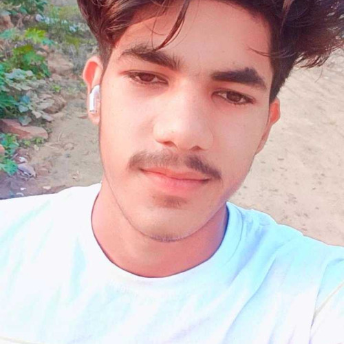 Ankit A. profile photo