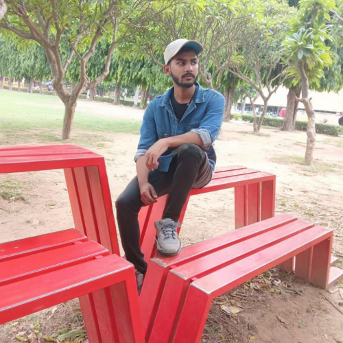 Divyanshu Y. profile photo