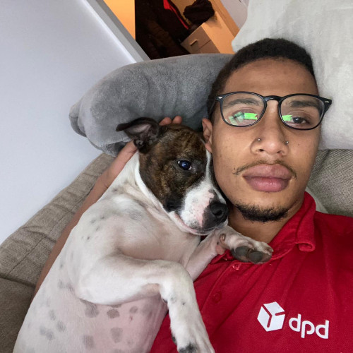 Jordan  D. profile photo