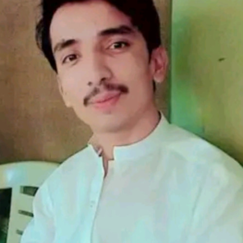 Hasnain Z. profile photo