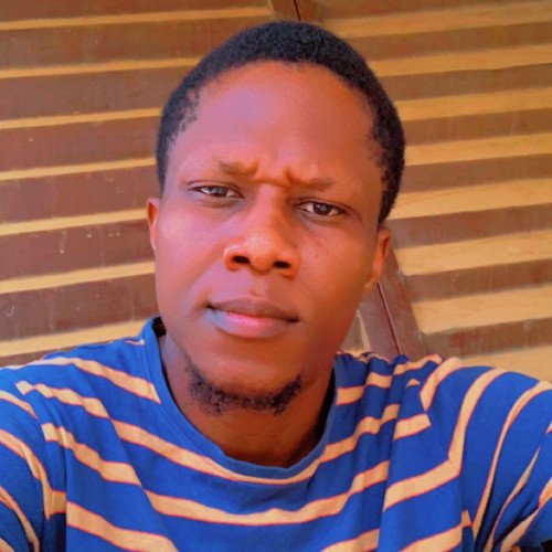Adedayo A. profile photo