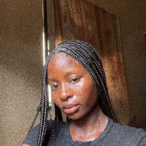 Adedayo A. profile photo