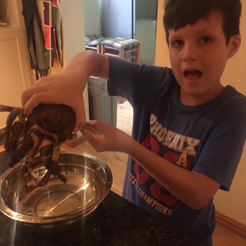 Dylan R. profile photo