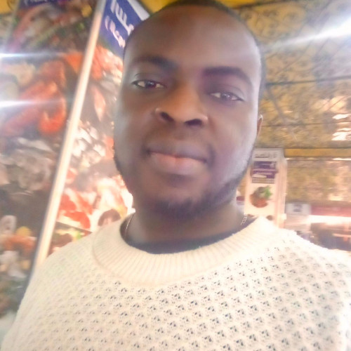 Bolaji D. profile photo