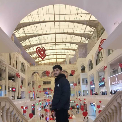 Ashish m. profile photo