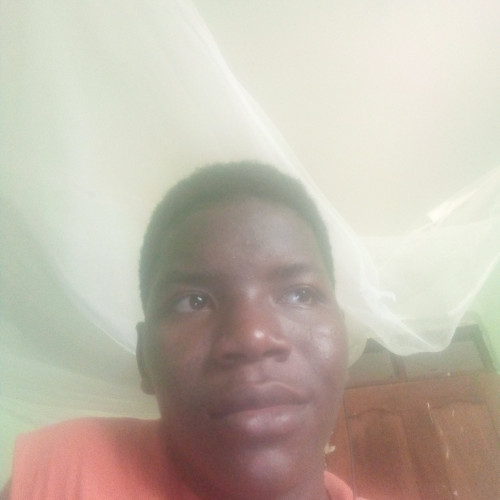 Ibrahim K. profile photo